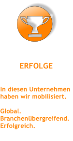 ERFOLGE In diesen Unternehmen haben wir mobilisiert.  Global. Branchenbergreifend. Erfolgreich.