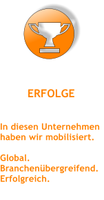ERFOLGE In diesen Unternehmen haben wir mobilisiert.  Global. Branchenbergreifend. Erfolgreich.